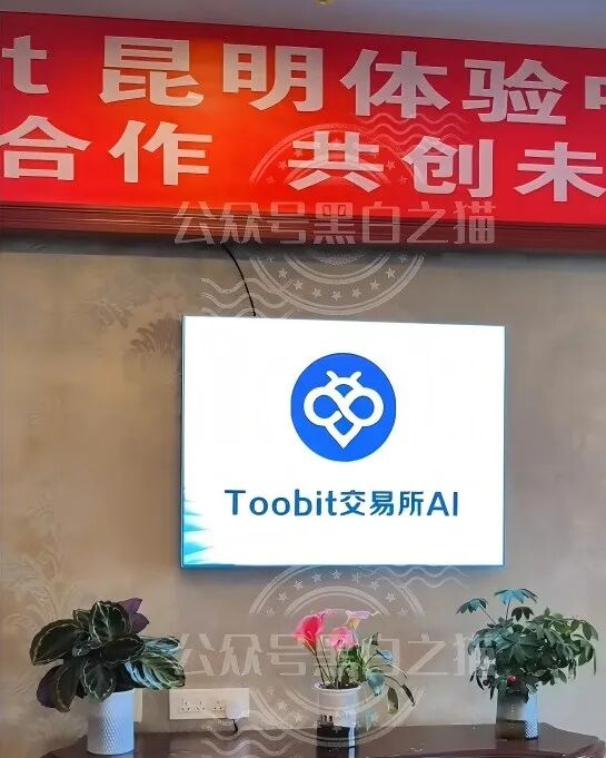 图比特域名8月起连换多个，证书到期日成参与者追问焦点插图6